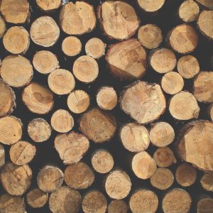 logs, texture, pattern-865175.jpg